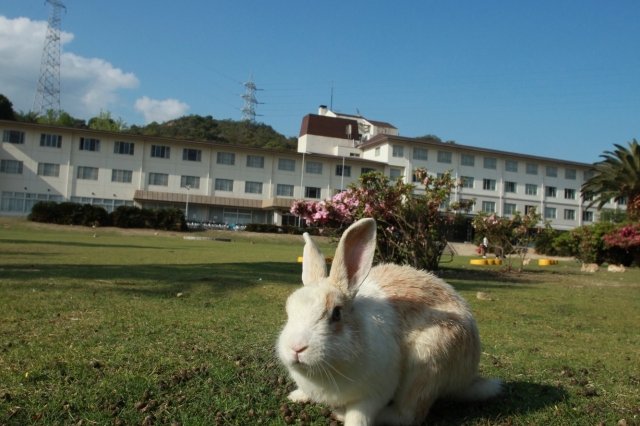 大久野島｜観光スポット｜竹原市公式観光サイト ひろしま竹原観光ナビ