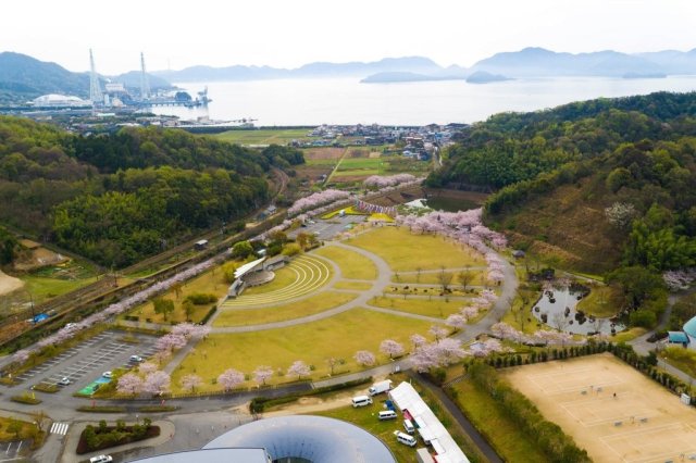 ピースリーホーム　バンブー総合公園